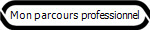 Mon parcours professionnel